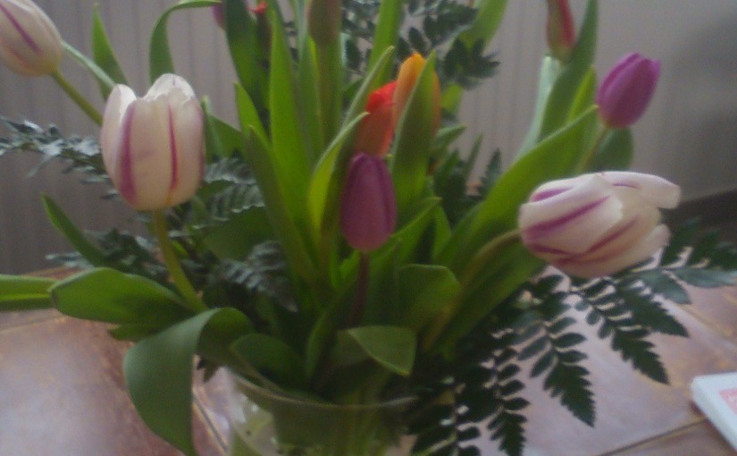 29 avril 2015 – Monsieur Fleurs…